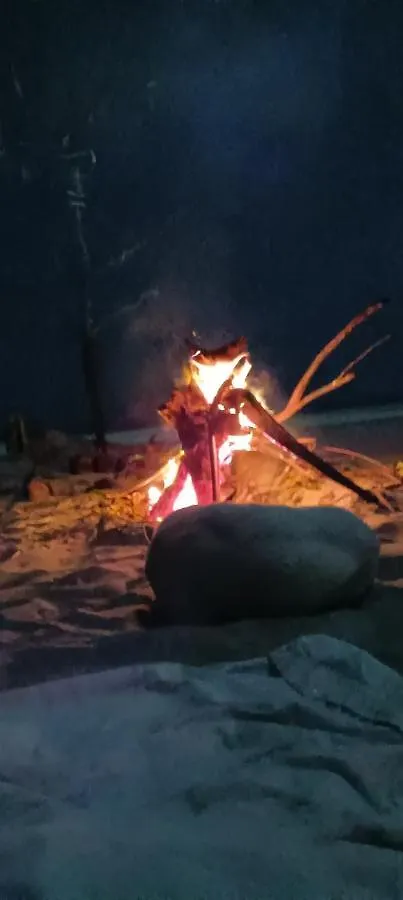 Kwatera prywatna Zest Moon Beach Home Alappuzha Indie